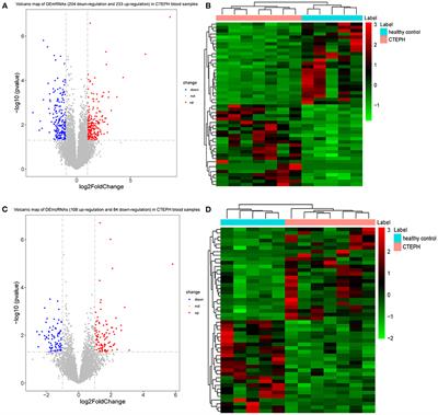 The alterations in molecular markers and signaling pathways in chronic thromboembolic pulmonary hypertension, a study with transcriptome sequencing and bioinformatic analysis